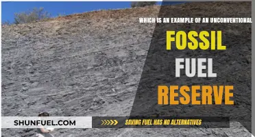 Unconventional Fossil Fuel Reserves: Exploring the Unexpected Energy Sources