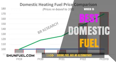 Choosing the Best Domestic Fuel: A Comprehensive Comparison and Guide