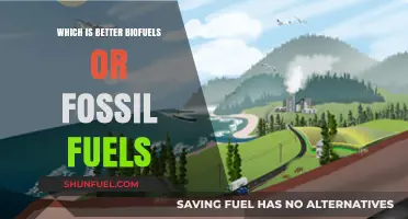 Biofuels vs. Fossil Fuels: A Sustainable Energy Comparison