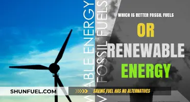 Fossil Fuels vs. Renewable Energy: Which Powers a Sustainable Future?