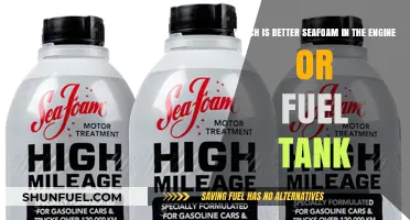 Seafoam: Engine or Fuel Tank?