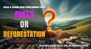 Fossil Fuels vs. Deforestation: Which Threatens Our Planet More?