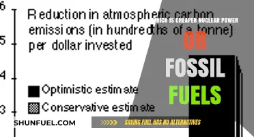 Nuclear Power vs. Fossil Fuels: Cost Comparison and Economic Viability