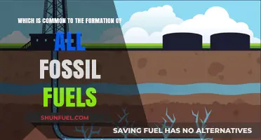 The Common Origin of Fossil Fuels