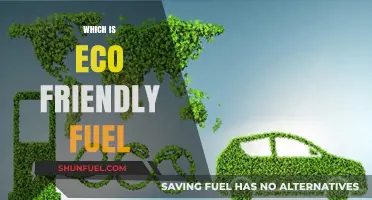 Eco-Friendly Fuel Options: Sustainable Alternatives for a Greener Future
