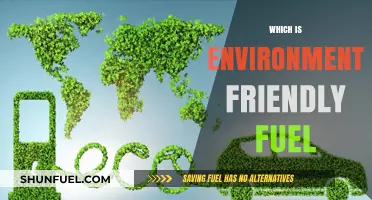 Sustainable Energy Choices: Exploring the Most Environmentally Friendly Fuels