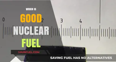 Exploring the Best Nuclear Fuel Options for Clean Energy