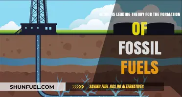 Theories Behind Fossil Fuel Formation
