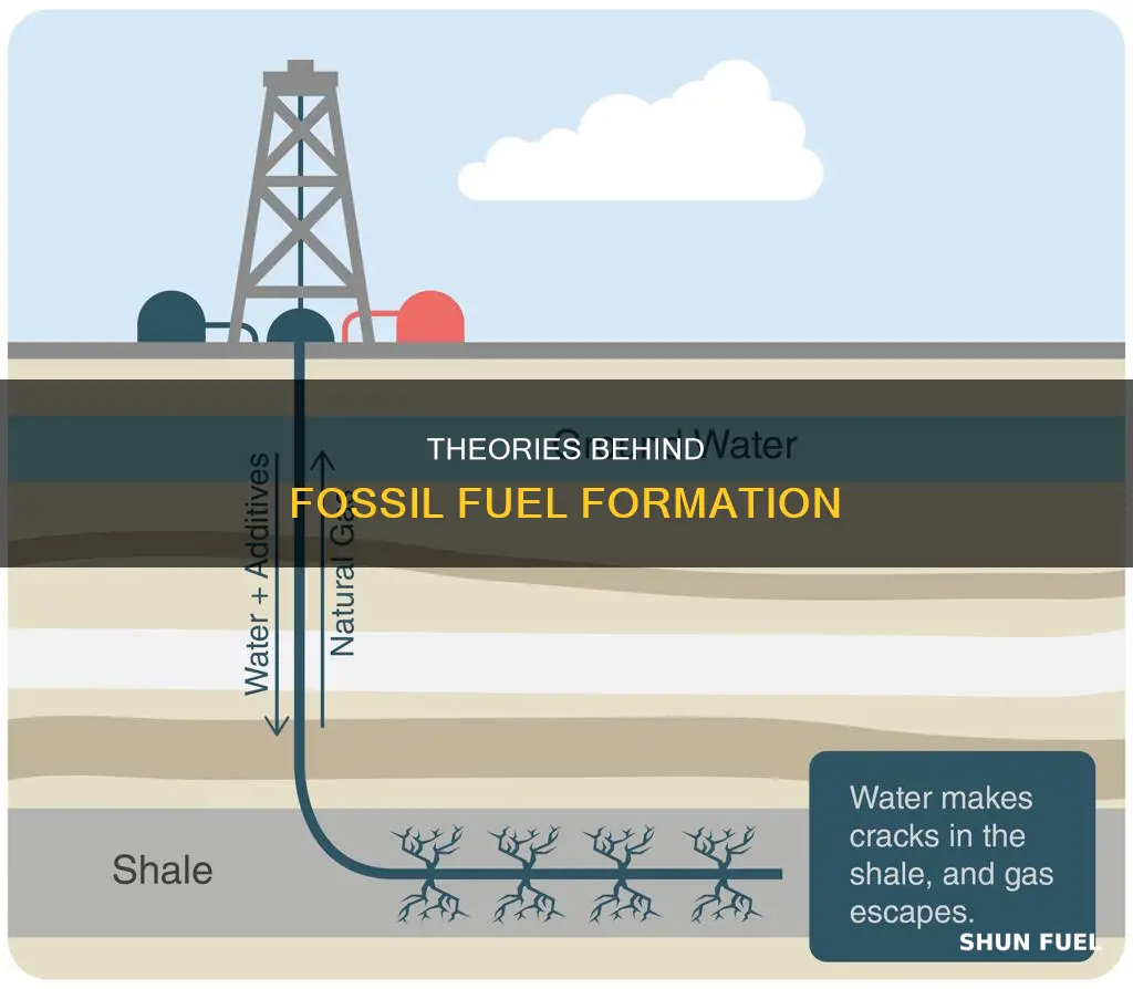 which is leading theory for the formation of fossil fuels