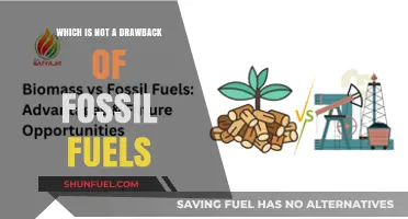 Fossil Fuels' Bright Side: One Advantage That's Often Overlooked