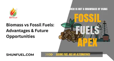 Fossil Fuels' Hidden Advantage: Debunking a Common Misconception