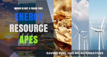 Renewable Energy Sources: Identifying Non-Fossil Fuel Options in APES