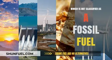 Renewable Energy Sources: Which One Isn't a Fossil Fuel?