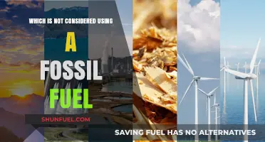 Renewable Energy Sources: What’s Not Classified as Fossil Fuel Use?