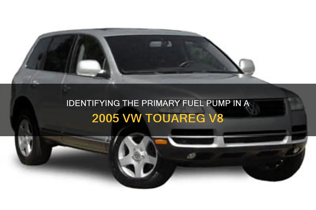 which is primary fuel pump 05 vw touareg v8