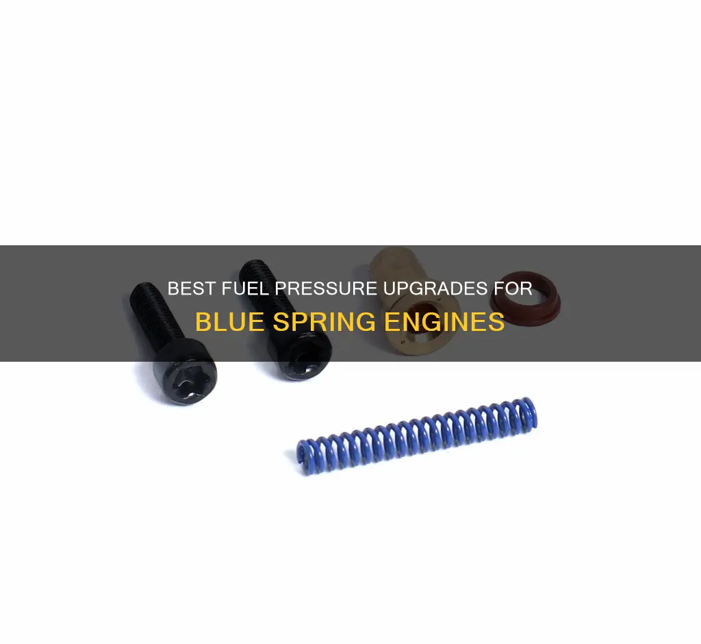 which is the best blue spring fuel pressure upgrade