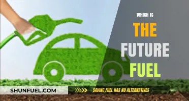 The Future of Energy: Exploring Sustainable Fuel Alternatives