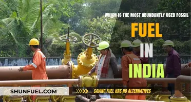 India's Top Fossil Fuel: Unveiling the Most Abundantly Used Energy Source
