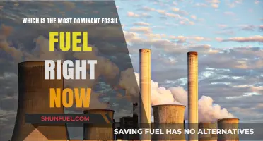The Reigning Energy Giant: Today’s Most Dominant Fossil Fuel Revealed