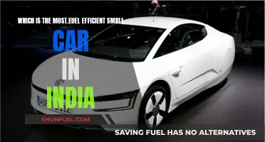 Small Cars, Big Savings: India's Fuel Efficiency Champs