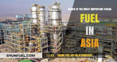Asia's Energy Backbone: The Most Crucial Fossil Fuel Powering the Continent