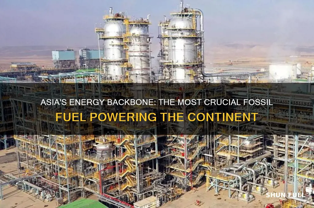 which is the most important fossil fuel in asia