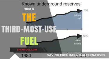 Exploring the Surprising Third-Most-Used Fuel Globally: What Powers Our World?