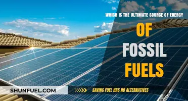 The Sun's Legacy: Unveiling Fossil Fuels' Ultimate Energy Source