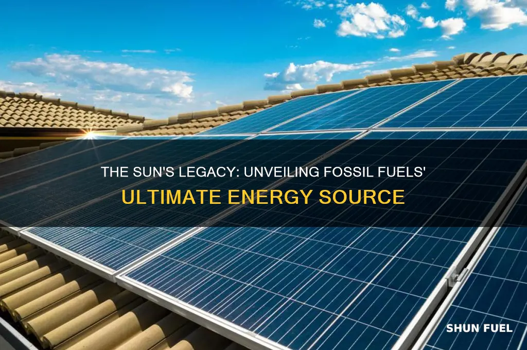 which is the ultimate source of energy of fossil fuels