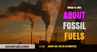 Fossil Fuels: Uncovering the Truth About Their Impact and Future