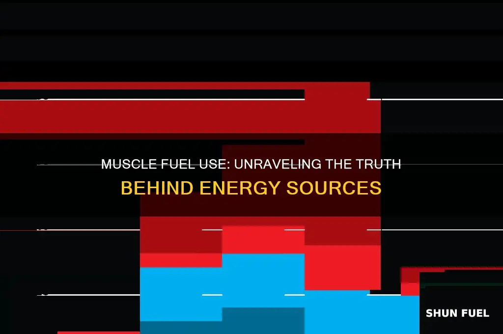 which is true of muscle fuel use
