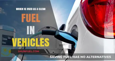 Clean Fuel Revolution: Exploring Eco-Friendly Vehicle Energy Alternatives