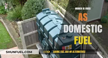 Exploring Common Domestic Fuels: Types, Uses, and Sustainability Options