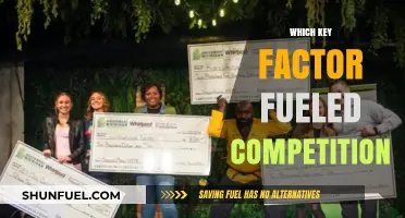 Fierce Competition: The Key Factor Driving Innovation and Growth