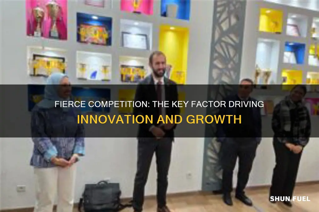 which key factor fueled competition