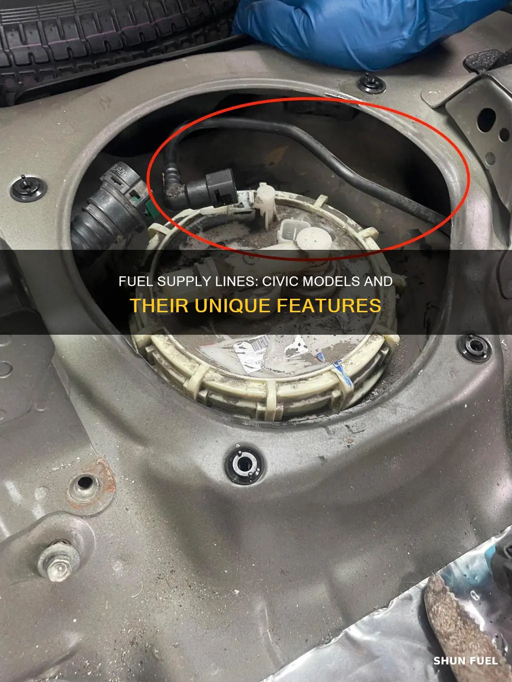 which line i civic fuel supply