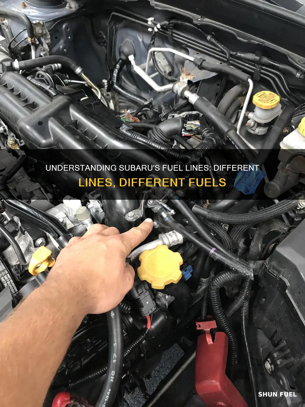which line is which fuel subaru