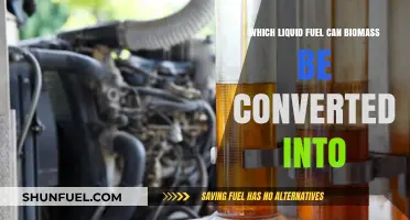 Biomass Conversion: Exploring Liquid Fuel Options for Sustainable Energy