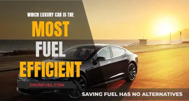 Luxury Cars: Fuel Efficiency Champions Revealed