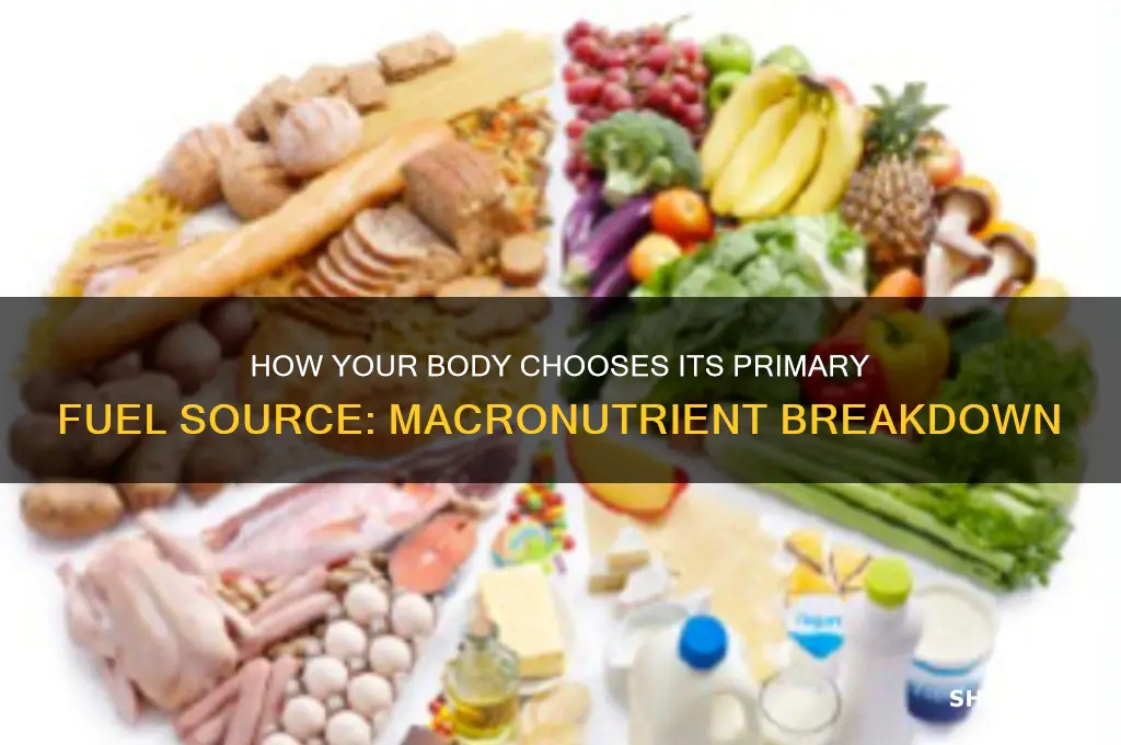 which macro nutrient does the body use first for fuel
