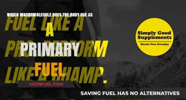 Carbohydrates: The Body's Primary Fuel Source for Energy Production