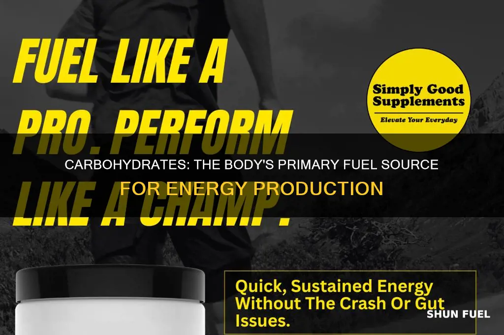 which macromolecule does the body use as a primary fuel