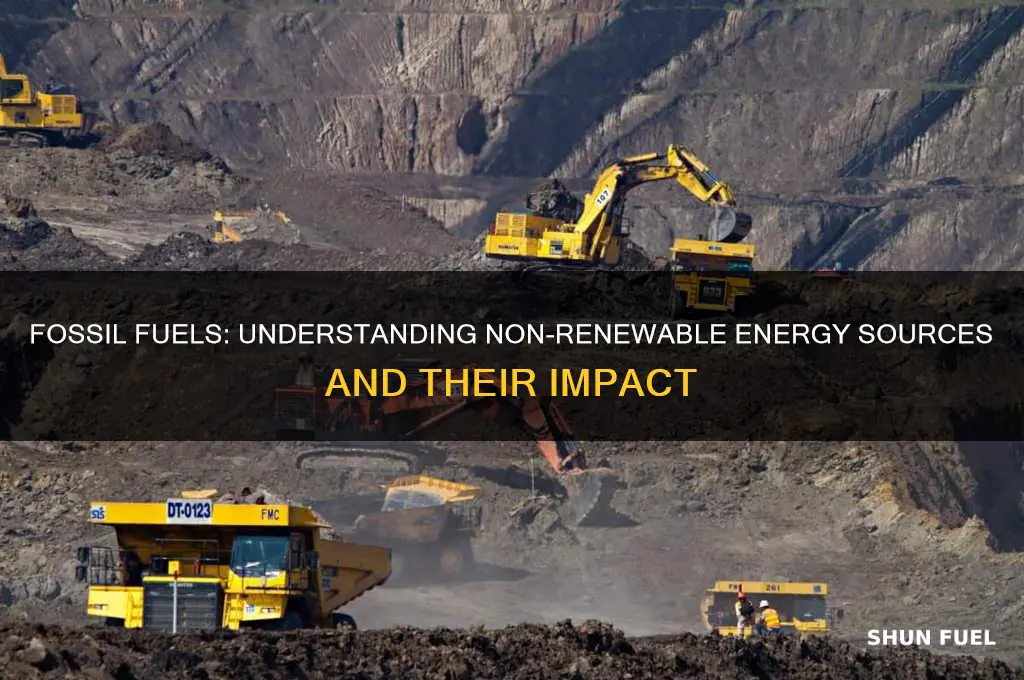 which non renewable energy resources are fossil fuels