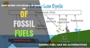 Fossil Fuels and the Carbon Cycle: Unraveling Their Interconnected Impact