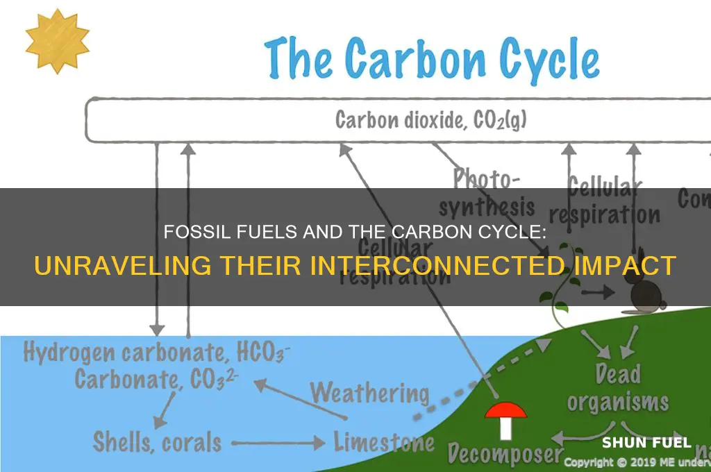 which nutrient cycle includes the consumption use of fossil fuels