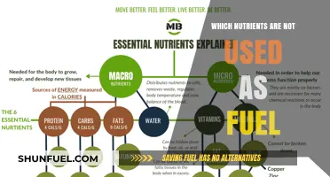 Non-Fuel Nutrients: Essential Roles Beyond Energy in Your Body