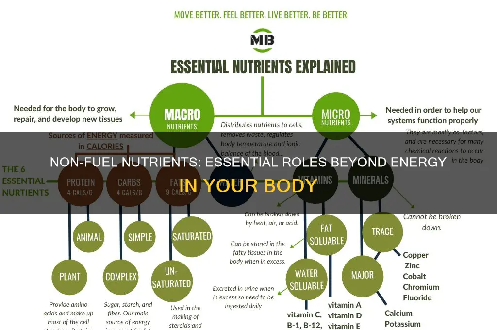 which nutrients are not used as fuel