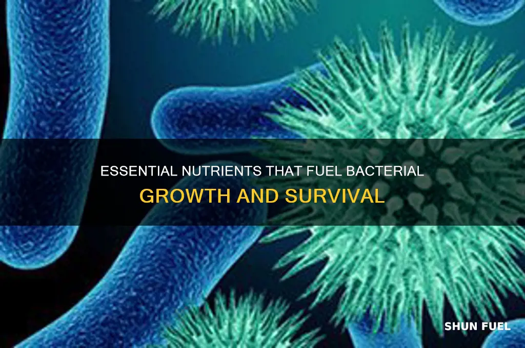which nutrients helps fuel bacteria