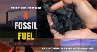 Identifying Non-Fossil Fuel Sources: Unraveling the Energy Mix