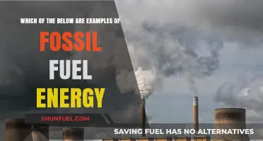 Fossil Fuel Energy Examples: Identifying Common Sources and Uses